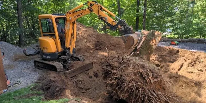 Mini-excavatrice près d’une souche déterrée sur un chantier